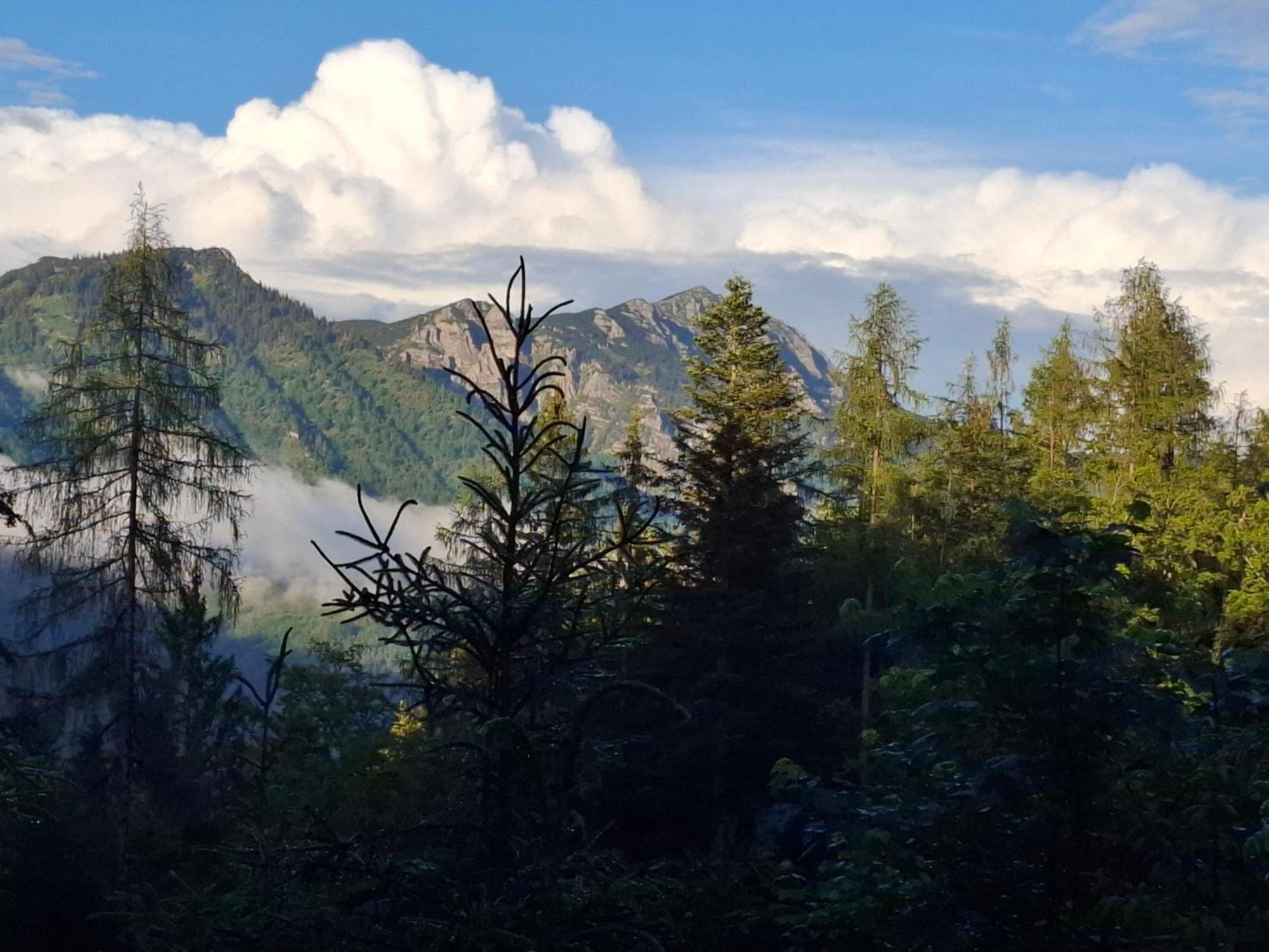 Bauernhof Ablass Göstling an der Ybbs Екстериор снимка